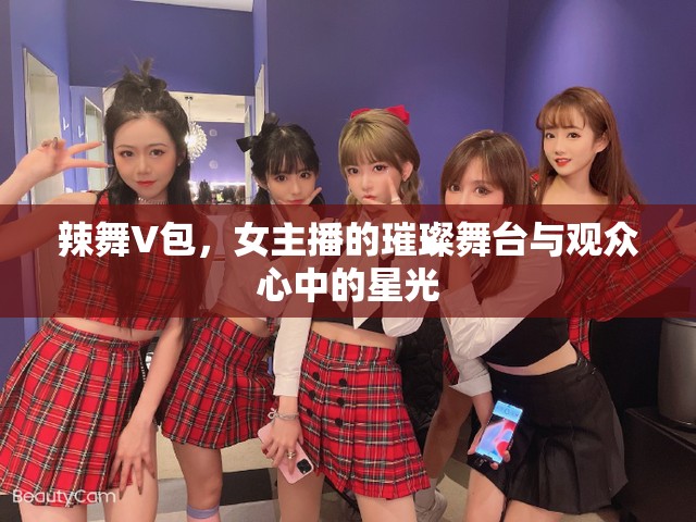 辣舞V包，女主播的璀璨舞臺與觀眾心中的星光