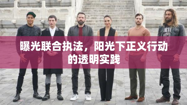 曝光聯(lián)合執(zhí)法，陽光下正義行動的透明實(shí)踐