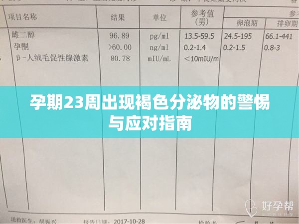 孕期23周出現(xiàn)褐色分泌物的警惕與應(yīng)對(duì)指南