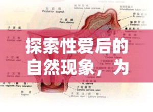 探索性愛(ài)后的自然現(xiàn)象，為何做完愛(ài)會(huì)流出白白的液體？