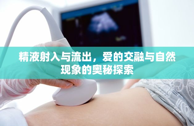 精液射入與流出，愛的交融與自然現(xiàn)象的奧秘探索