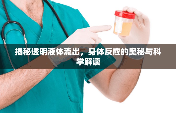 揭秘透明液體流出，身體反應(yīng)的奧秘與科學(xué)解讀