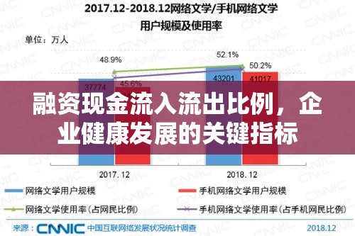 融資現金流入流出比例，企業(yè)健康發(fā)展的關鍵指標