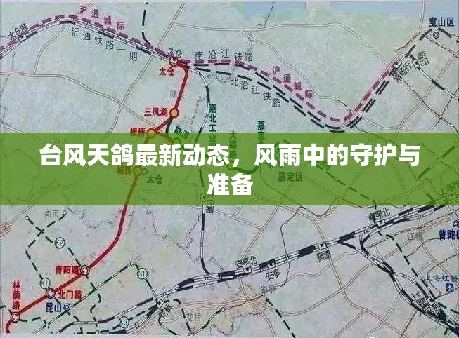 臺(tái)風(fēng)天鴿最新動(dòng)態(tài)，風(fēng)雨中的守護(hù)與準(zhǔn)備