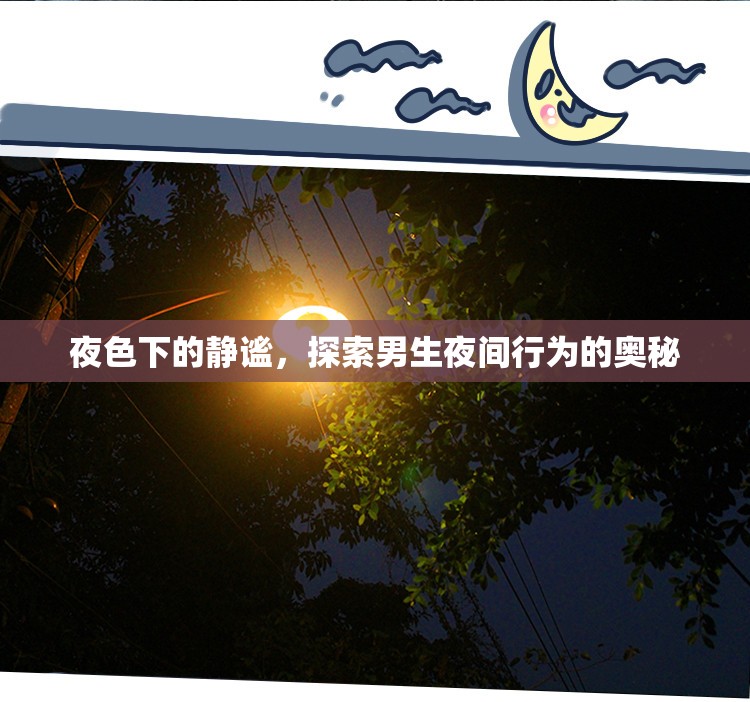 夜色下的靜謐，探索男生夜間行為的奧秘