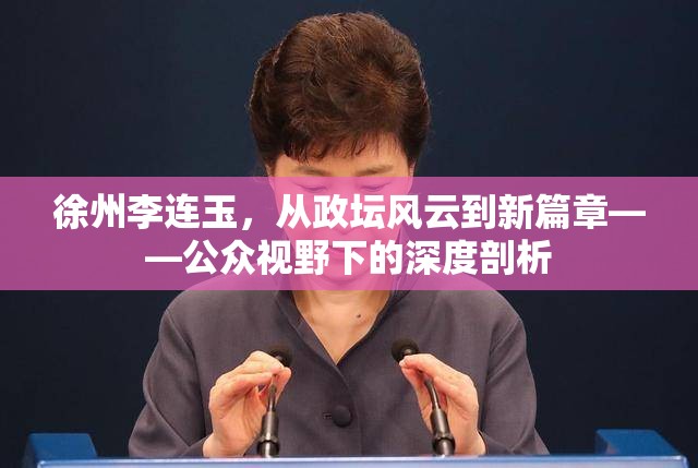 徐州李連玉，從政壇風(fēng)云到新篇章——公眾視野下的深度剖析