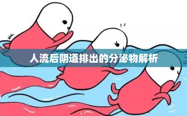 人流后陰道排出的分泌物解析