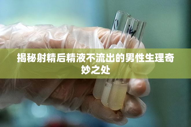 揭秘射精后精液不流出的男性生理奇妙之處