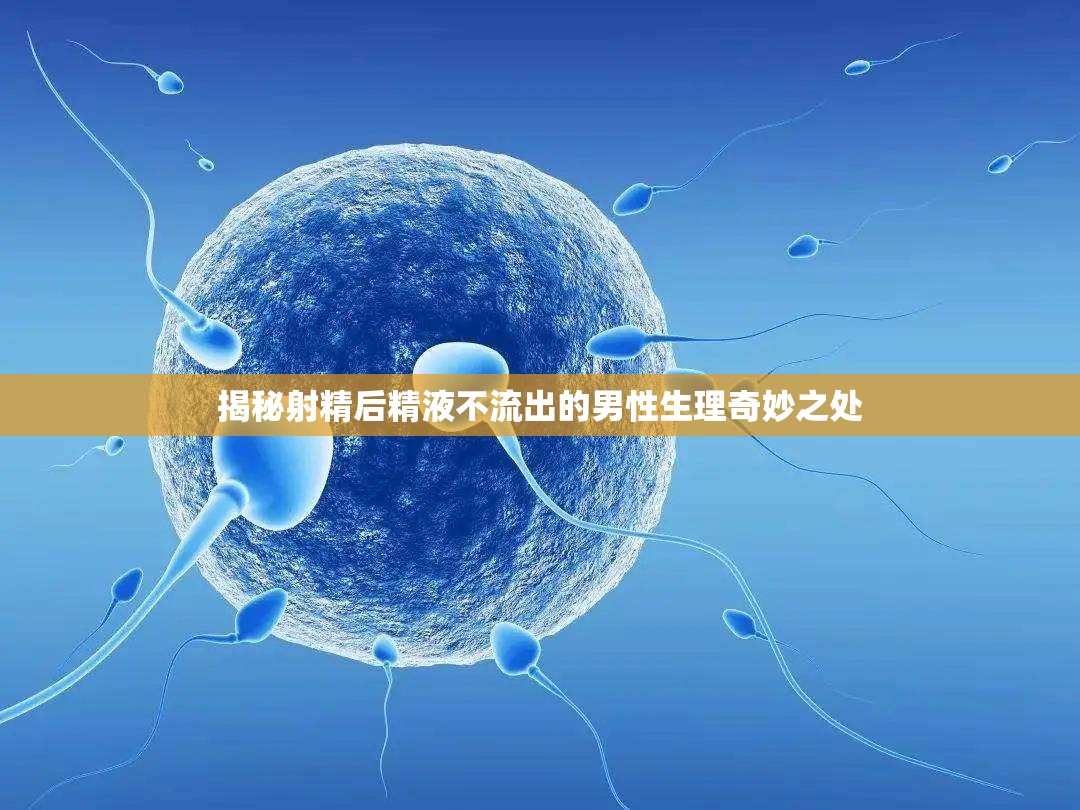 揭秘射精后精液不流出的男性生理奇妙之處