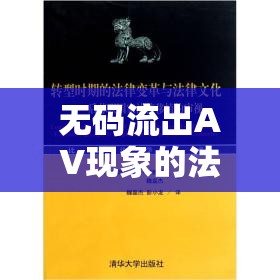 無碼流出AV現(xiàn)象的法律與道德審視
