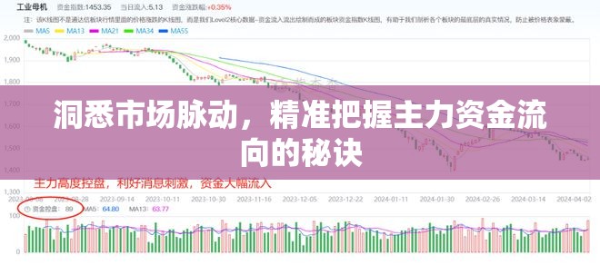 洞悉市場脈動(dòng)，精準(zhǔn)把握主力資金流向的秘訣