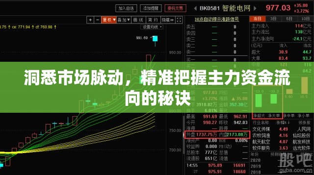 洞悉市場脈動(dòng)，精準(zhǔn)把握主力資金流向的秘訣