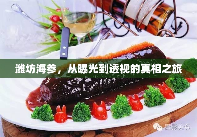 濰坊海參，從曝光到透視的真相之旅