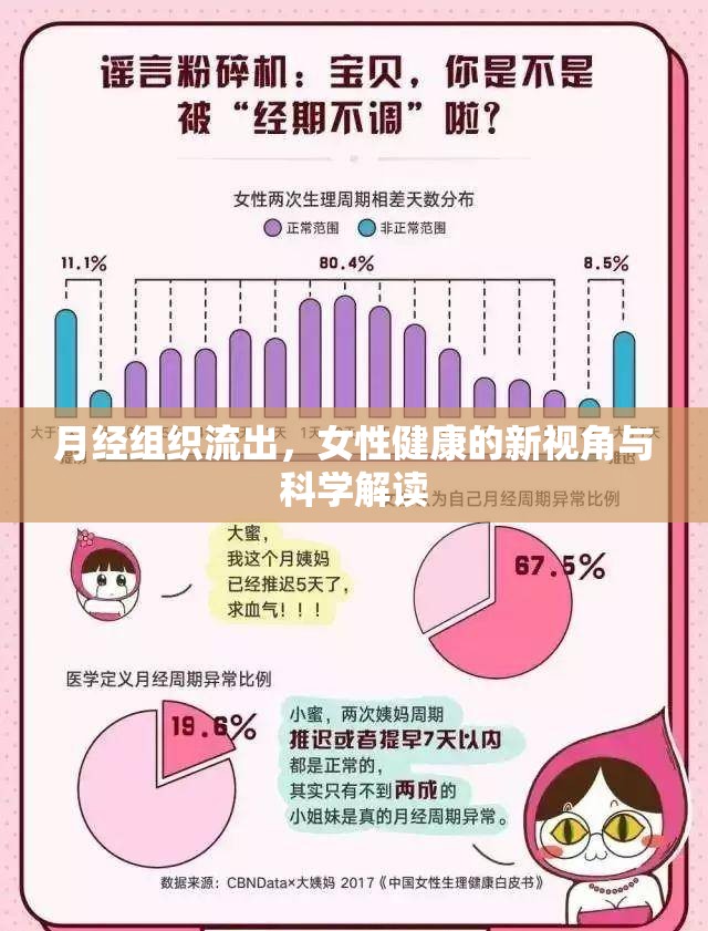 月經(jīng)組織流出，女性健康的新視角與科學(xué)解讀