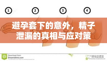 避孕套下的意外，精子泄漏的真相與應對策略
