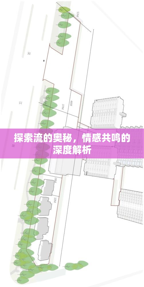 探索流的奧秘，情感共鳴的深度解析