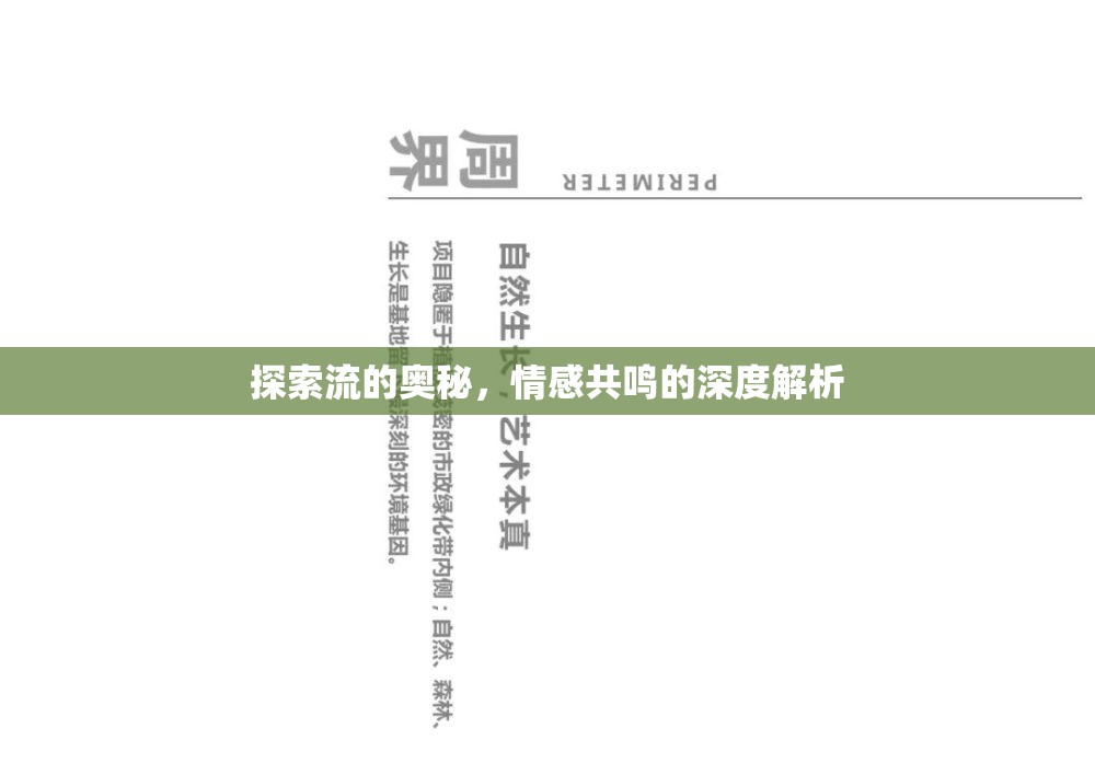 探索流的奧秘，情感共鳴的深度解析