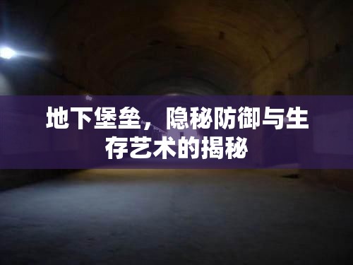地下堡壘，隱秘防御與生存藝術(shù)的揭秘