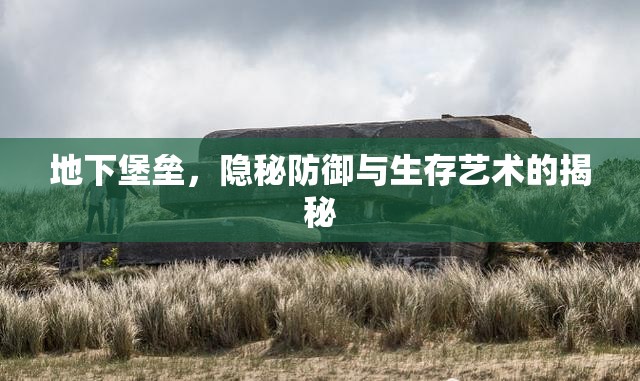 地下堡壘，隱秘防御與生存藝術(shù)的揭秘