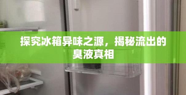 探究冰箱異味之源，揭秘流出的臭液真相