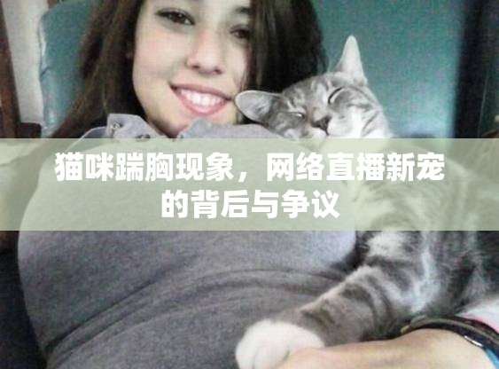 貓咪踹胸現(xiàn)象，網(wǎng)絡(luò)直播新寵的背后與爭(zhēng)議