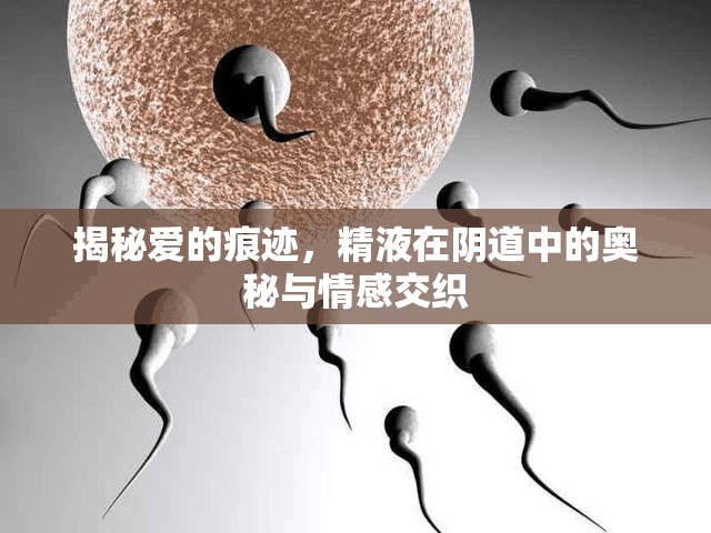 揭秘愛的痕跡，精液在陰道中的奧秘與情感交織