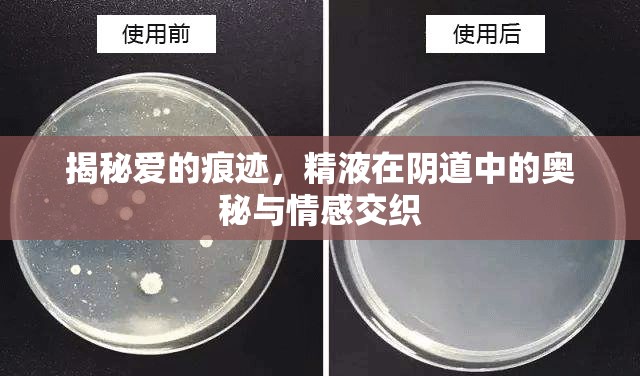 揭秘愛的痕跡，精液在陰道中的奧秘與情感交織
