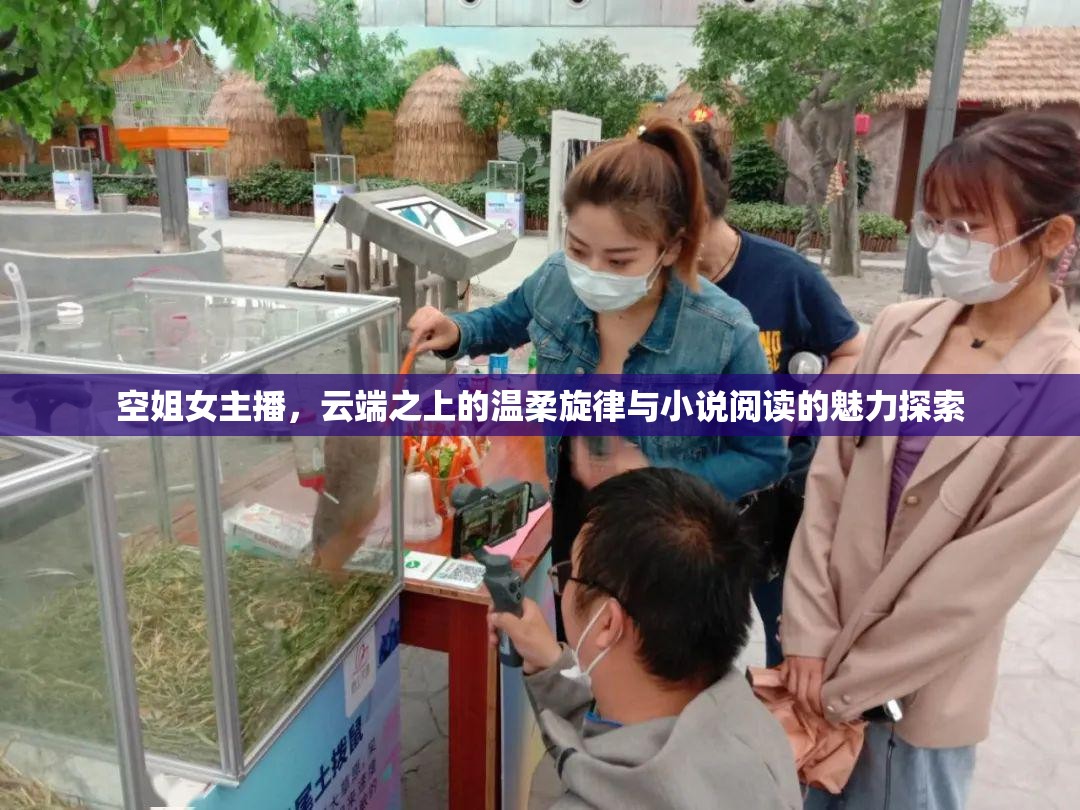 空姐女主播，云端之上的溫柔旋律與小說閱讀的魅力探索