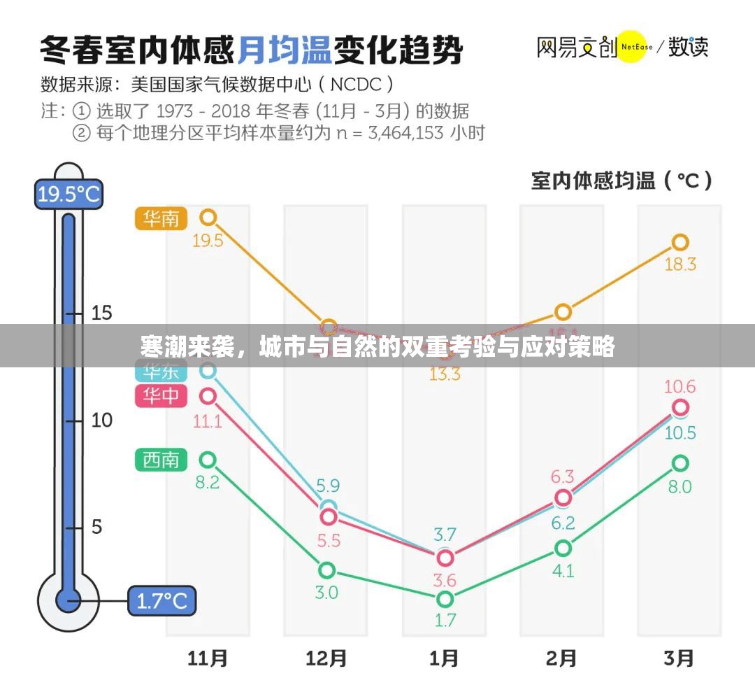 寒潮來襲，城市與自然的雙重考驗與應(yīng)對策略