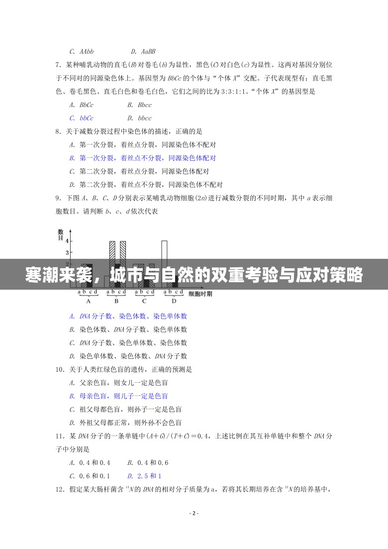 寒潮來襲，城市與自然的雙重考驗與應(yīng)對策略
