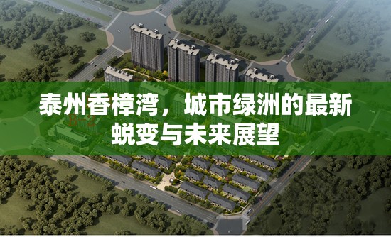 泰州香樟灣，城市綠洲的最新蛻變與未來展望