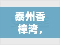 泰州香樟灣，城市綠洲的最新蛻變與未來展望
