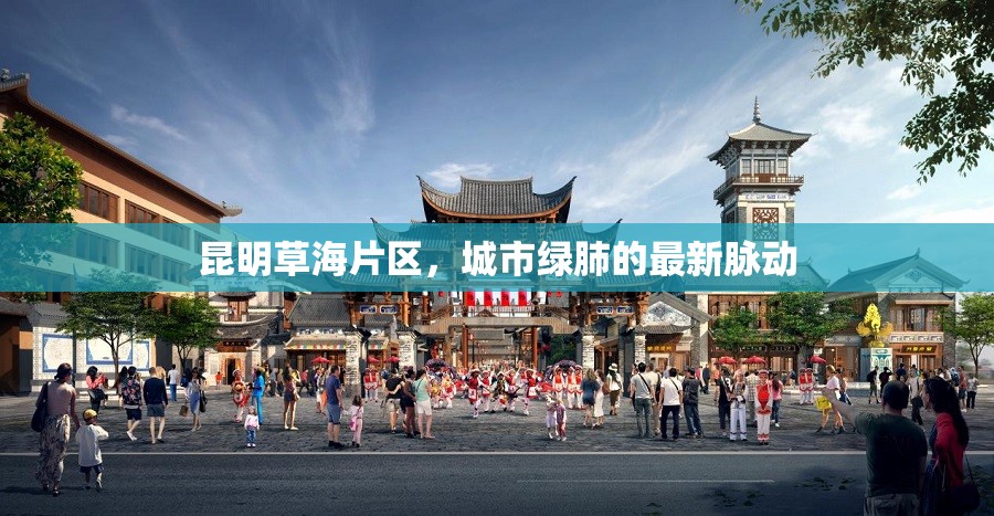 昆明草海片區(qū)，城市綠肺的最新脈動(dòng)
