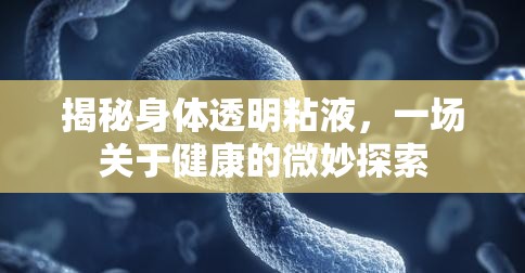 揭秘身體透明粘液，一場關(guān)于健康的微妙探索