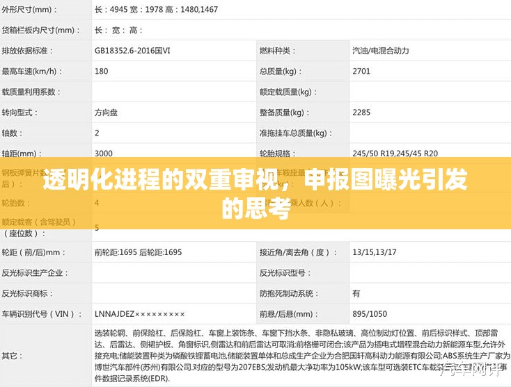 透明化進程的雙重審視，申報圖曝光引發(fā)的思考