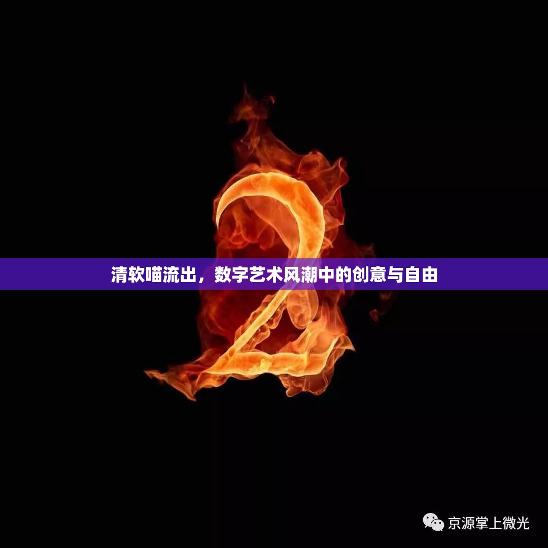清軟喵流出，數(shù)字藝術(shù)風(fēng)潮中的創(chuàng)意與自由