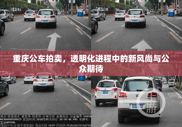 重慶公車拍賣，透明化進程中的新風(fēng)尚與公眾期待