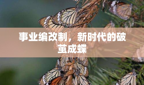 事業(yè)編改制，新時(shí)代的破繭成蝶