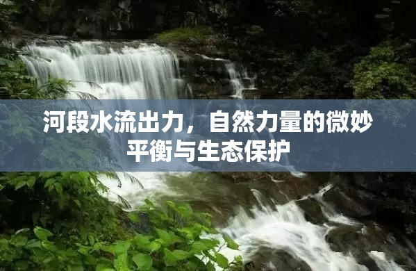 河段水流出力，自然力量的微妙平衡與生態(tài)保護(hù)