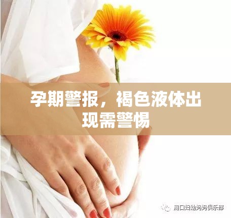 孕期警報，褐色液體出現(xiàn)需警惕