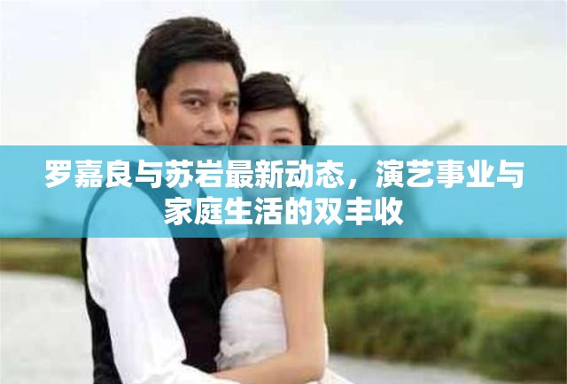 羅嘉良與蘇巖最新動(dòng)態(tài)，演藝事業(yè)與家庭生活的雙豐收