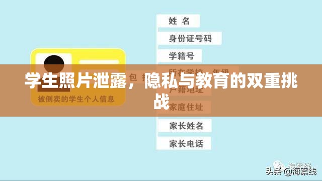 學(xué)生照片泄露，隱私與教育的雙重挑戰(zhàn)