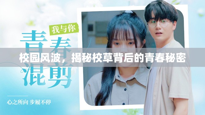 校園風(fēng)波，揭秘校草背后的青春秘密