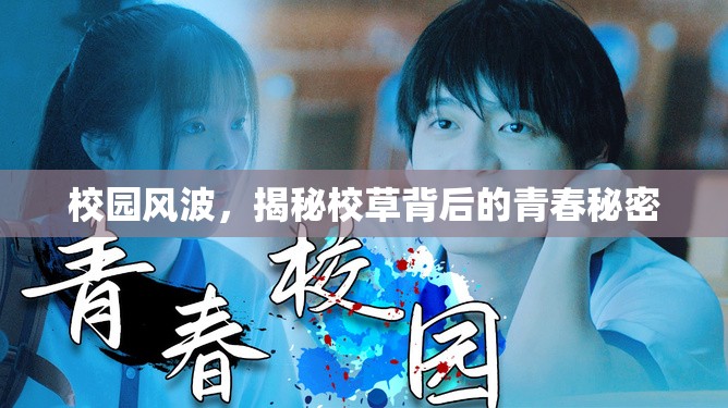 校園風(fēng)波，揭秘校草背后的青春秘密