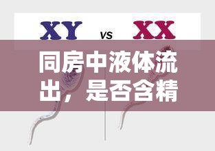 同房中液體流出，是否含精子？科學(xué)解析與健康指導(dǎo)