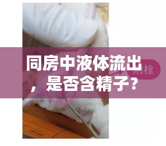 同房中液體流出，是否含精子？科學(xué)解析與健康指導(dǎo)