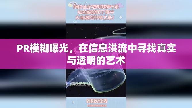 PR模糊曝光，在信息洪流中尋找真實(shí)與透明的藝術(shù)