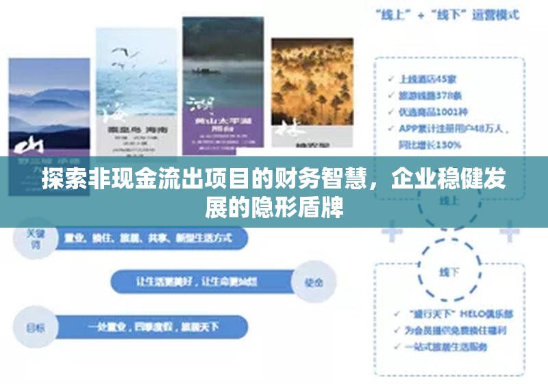 探索非現(xiàn)金流出項目的財務(wù)智慧，企業(yè)穩(wěn)健發(fā)展的隱形盾牌