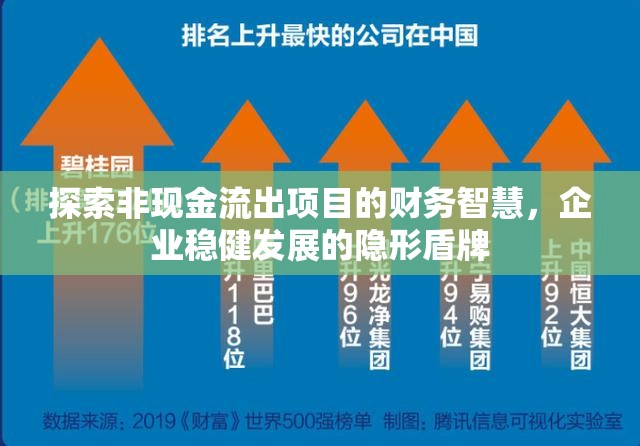 探索非現(xiàn)金流出項目的財務(wù)智慧，企業(yè)穩(wěn)健發(fā)展的隱形盾牌