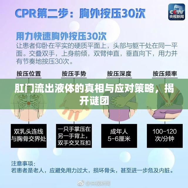 肛門流出液體的真相與應(yīng)對策略，揭開謎團